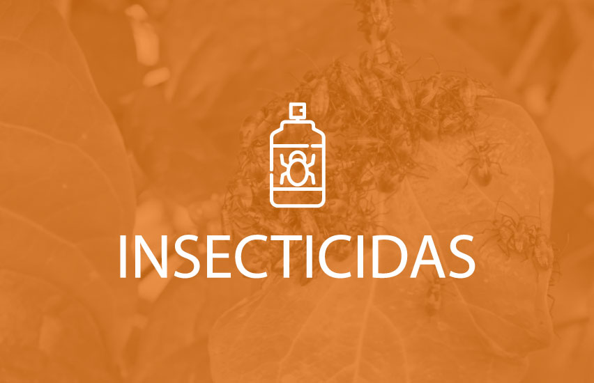 https://talanuchemical.com/wp-content/uploads/2024/10/insecticidas.jpg